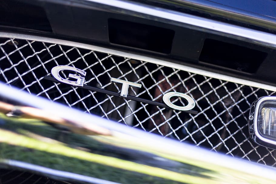 GTO logo, united states, nashville, vehicle, transportation, bumper HD wallpaper