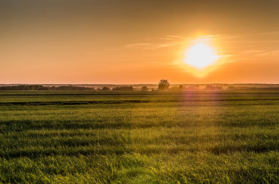 sunrise, fields, meadows, plain, europe, landscape, agriculture HD wallpaper