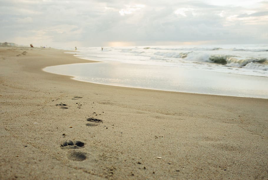 beach, sand, footprints, shore, ocean, sea, water, waves, land HD wallpaper