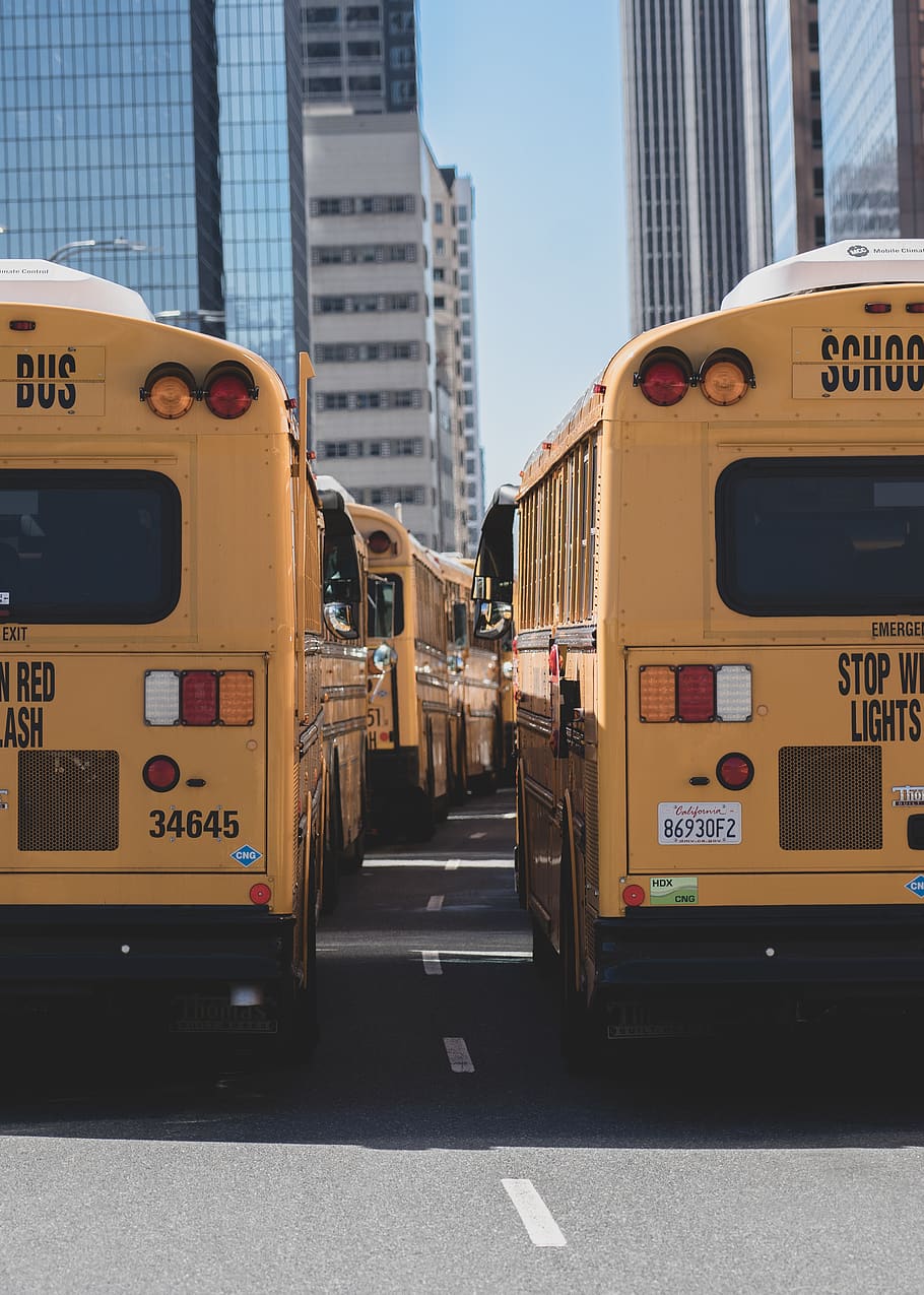 school buses on road during daytime, city, transportation, mode of transportation HD wallpaper