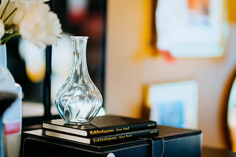 clear glass vase, furniture, home decor, plant, flower, blossom HD wallpaper