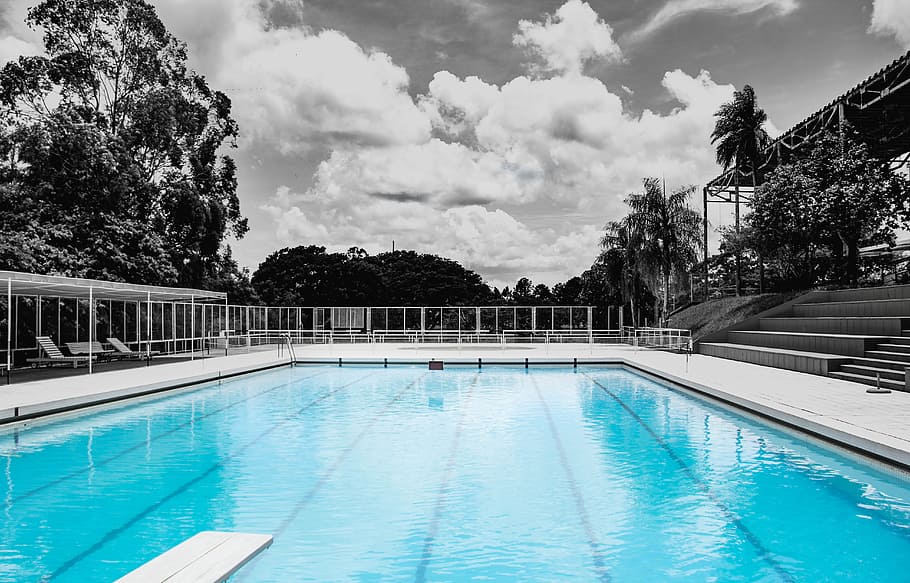 White Concrete Framed Swimming Pool Near Benches With Gate Surrounded by Trees HD wallpaper