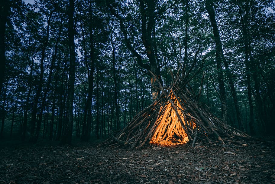 brown wooden campfire in the middle of woods, dark, forest, teepee