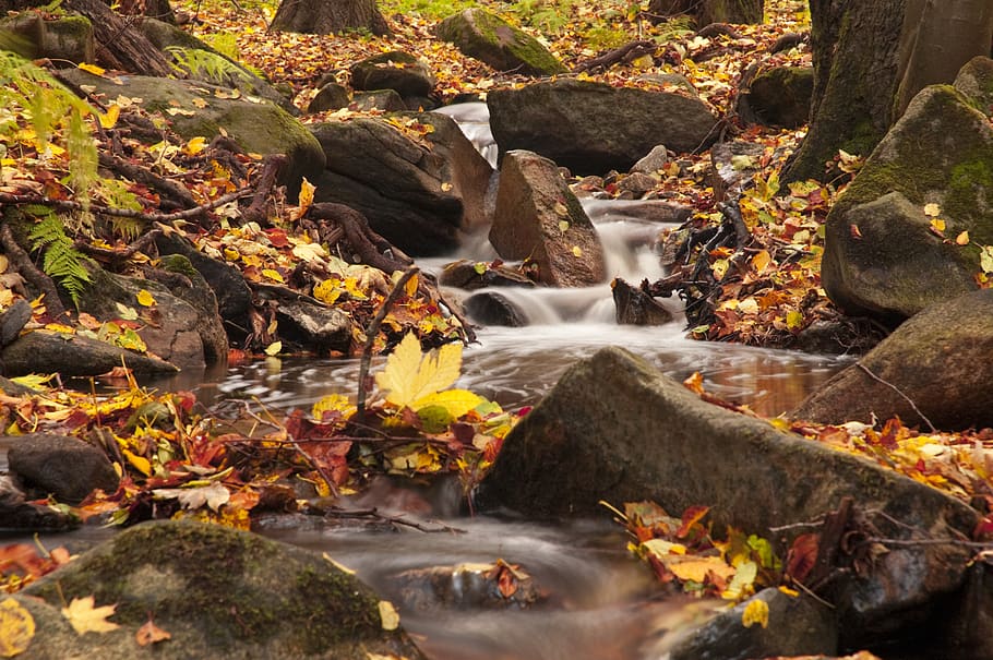 Time-lapse Photography of River, boulders, cascade, daylight HD wallpaper
