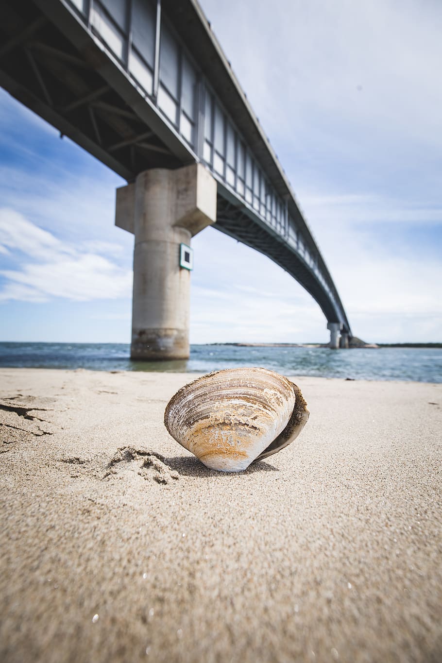 canada, new brunswick, bridge, shell, land, beach, sand, sea HD wallpaper