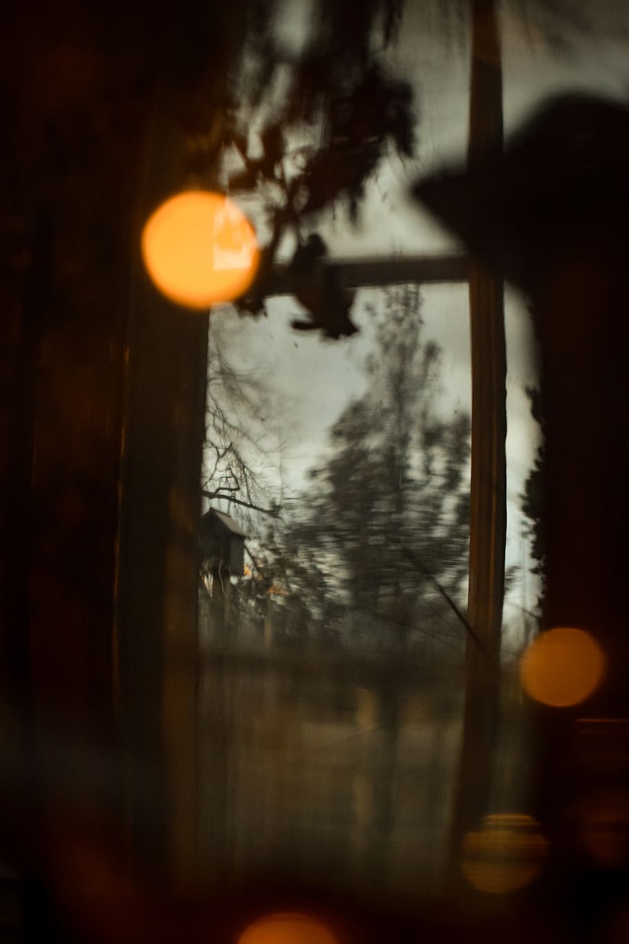 canada, oshawa, trees, cabin, dark, spooky, orange color, plant HD wallpaper