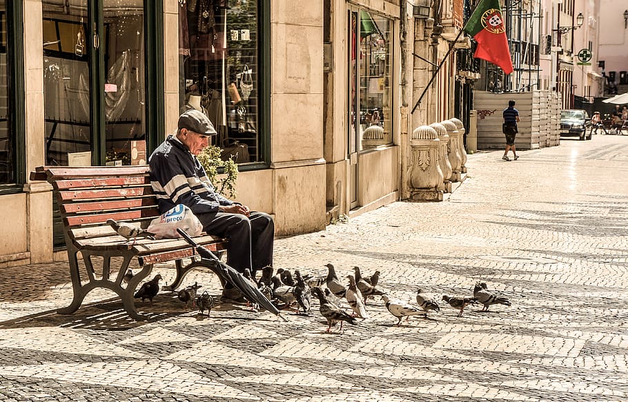 vertebrate, architecture, sitting, men, real people, group of animals HD wallpaper