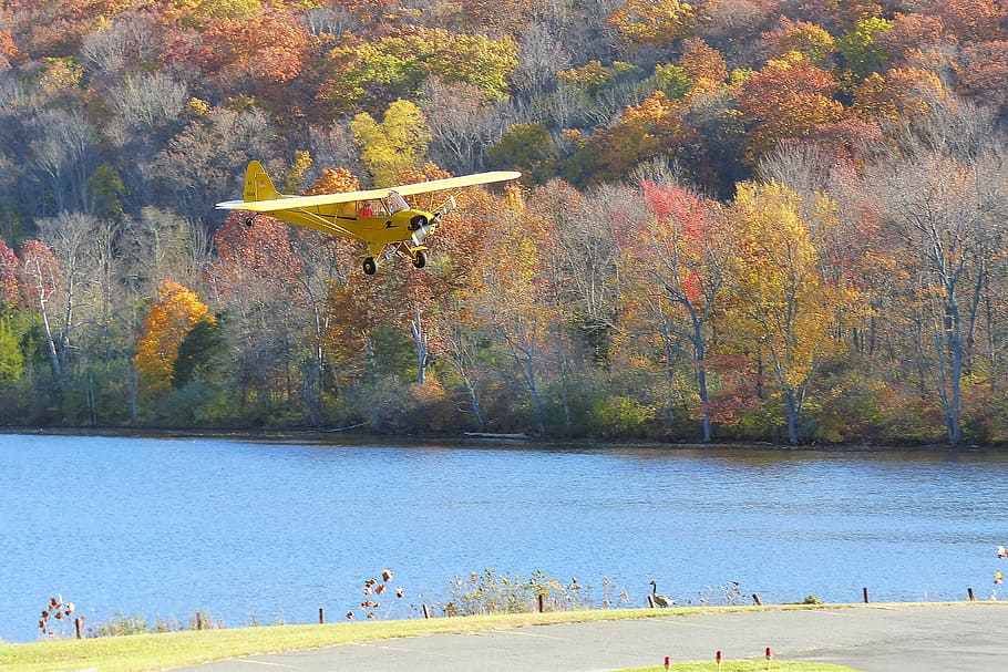 A Piper Cub single engine private airplane ready for a landing at a local airport.