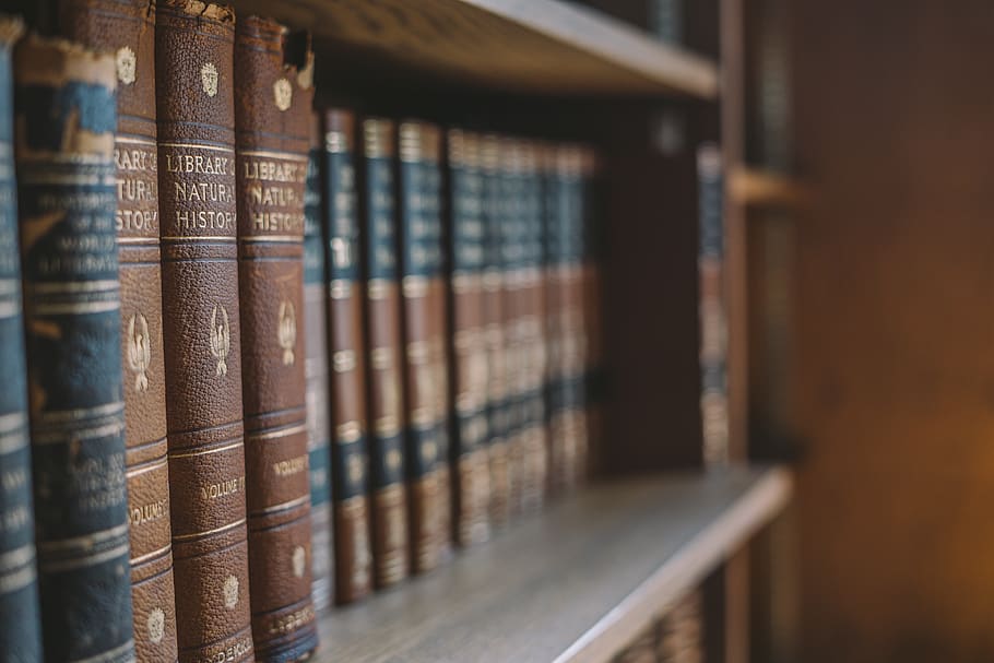 brown hardbound book lot, bookshelf, publication, selective focus HD wallpaper