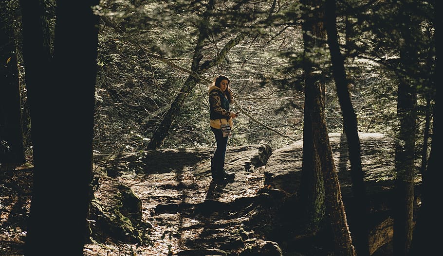 Woman Standing Near Trees, adventure, environment, forest, park HD wallpaper