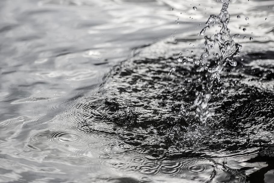 water, splash, background, isolated, black, white, drop, fresh HD wallpaper