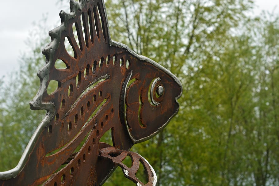netherlands, arnhem, art, fish, steel, rusty, plant, focus on foreground HD wallpaper