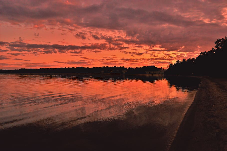 sweden, water, forest, tree, trees, clouds, lake, beach, sunset HD wallpaper