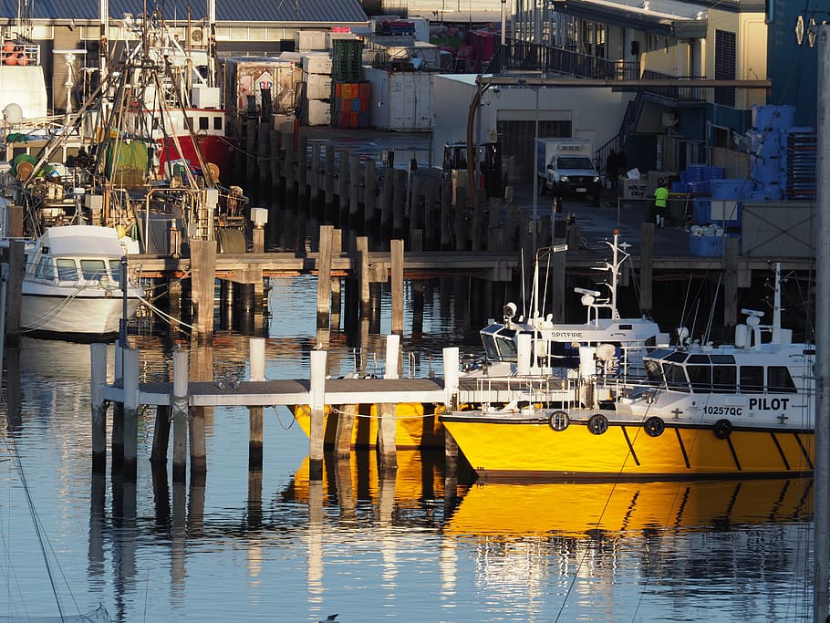 australia, sunshine coast, river pilot boats fishing trawlers colours reflections, HD wallpaper