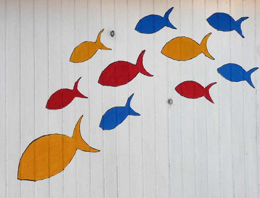 fishes, colors, creativity, art and craft, no people, multi colored HD wallpaper