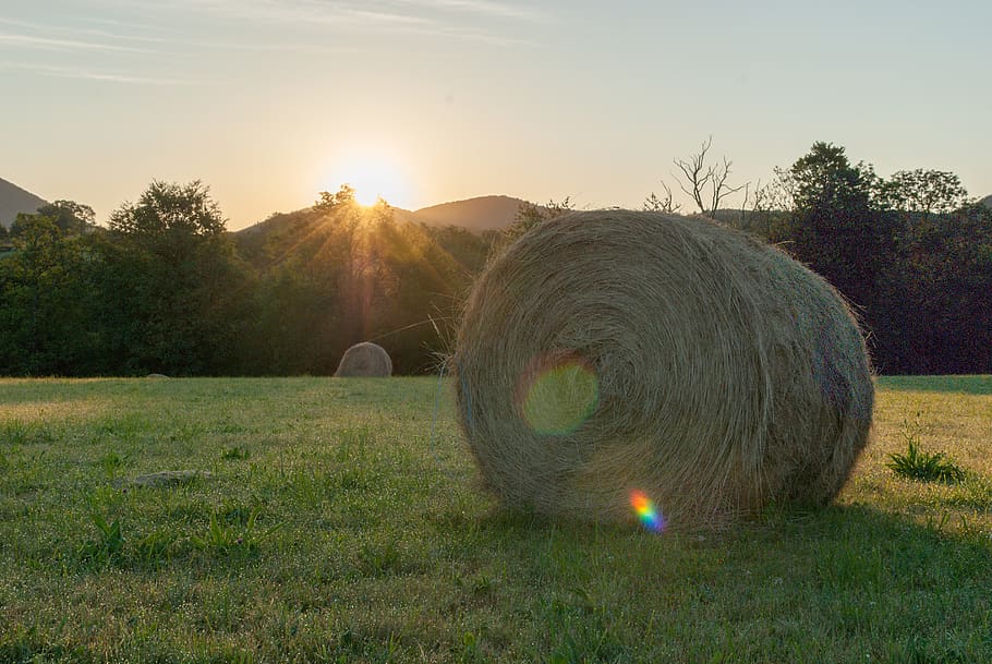 fields, prairie, hill, straw, bote, roller, rural, agriculture HD wallpaper