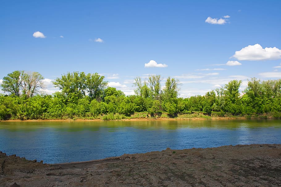 con2011, nature, scene, water, tree, sky, plant, cloud - sky HD wallpaper