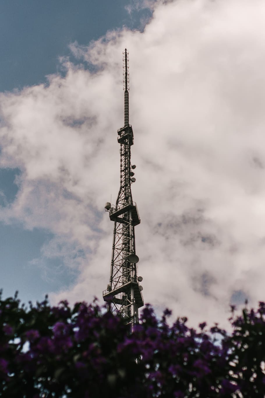 Tower Near Trees, antenna, perspective, transmitter, sky, built structure HD wallpaper