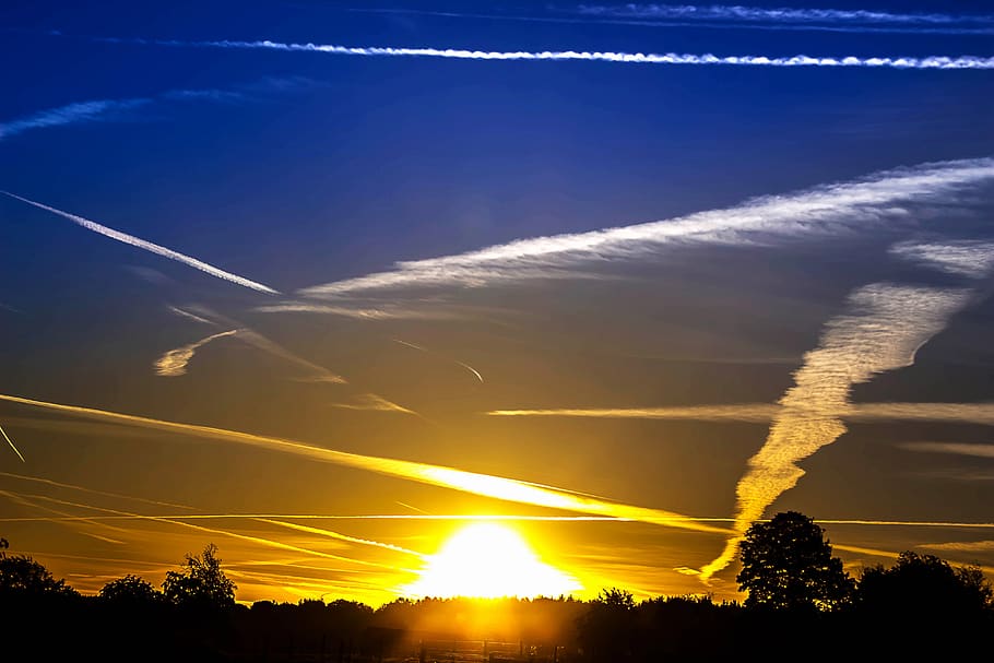 Silhouette of Trees Under Blue and Yellow Skies at Sunset, clouds HD wallpaper