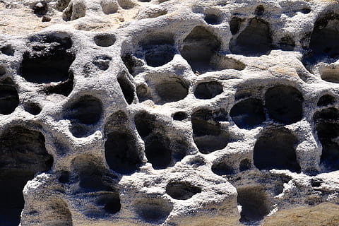 rock, hole, leopard, animal, jaguar, wildlife, panther, mammal HD wallpaper