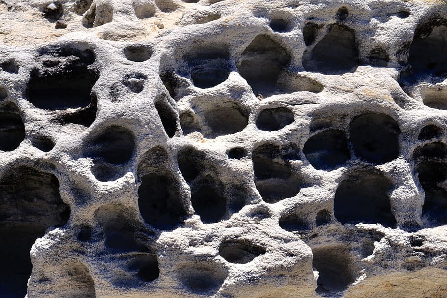 rock, hole, leopard, animal, jaguar, wildlife, panther, mammal HD wallpaper