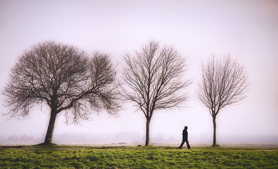 Hd Wallpaper Marche Promenade Solitude Homme Marchant Silhouette Arbres Wallpaper Flare