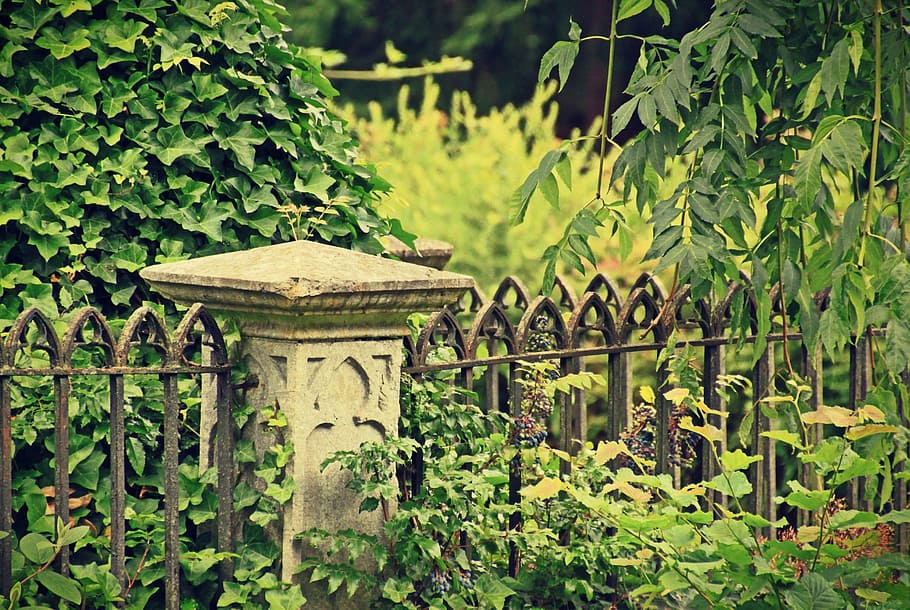 cemetery, gate, grave, graveyard, dead, plant, green color HD wallpaper
