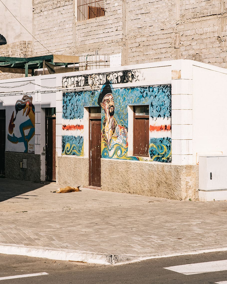 establishment with doors, window, and graffiti, cityscape, architecture HD wallpaper