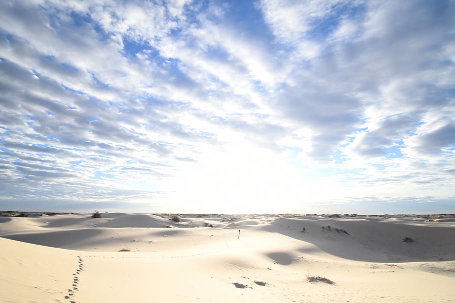 monahans, united states, monahans sandhills state park, dunes, HD wallpaper