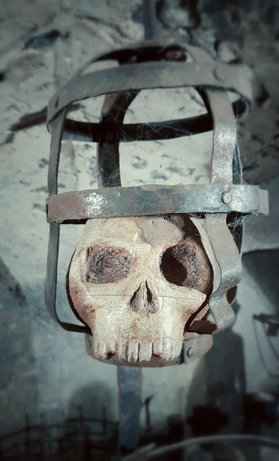 no people, close-up, focus on foreground, metal, bone, old HD wallpaper
