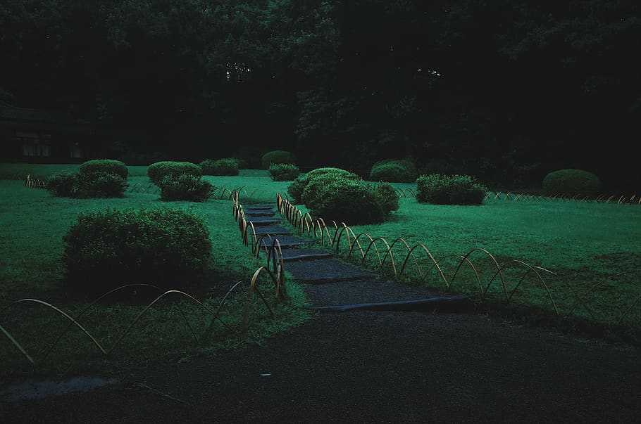 green grass field, plant, lawn, japan, tokyo, tree, park, outdoors HD wallpaper