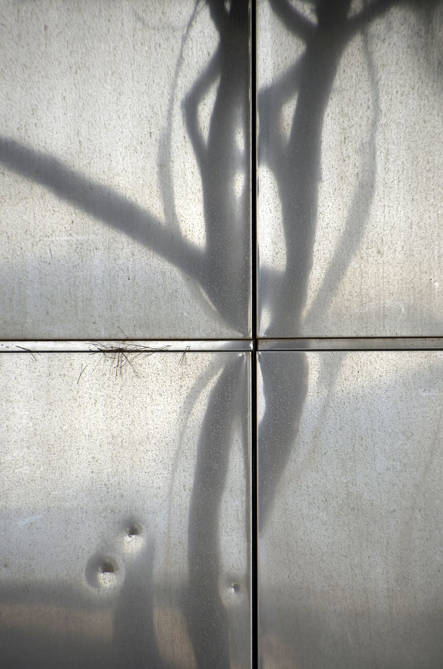 steel, trees, reflection, disturbed, distorted, shadow, sunlight HD wallpaper