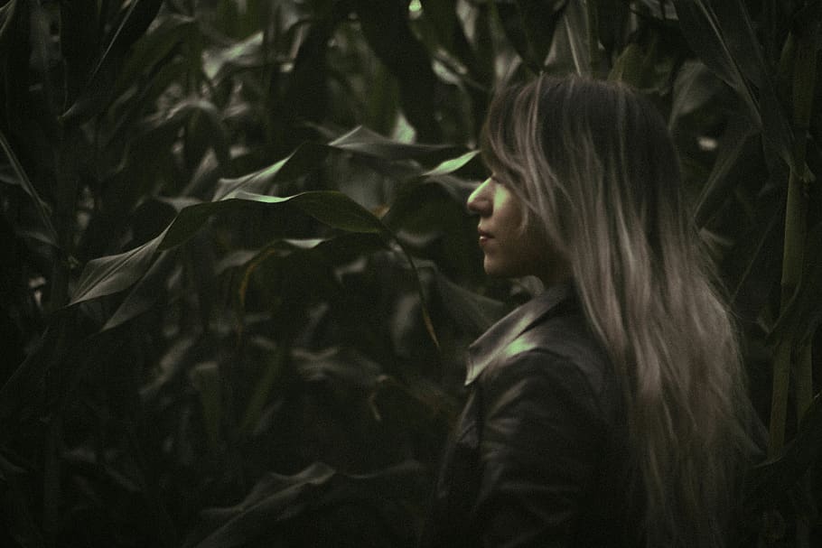 forest, corn, model, hair, life, explorer, side view, one person HD wallpaper