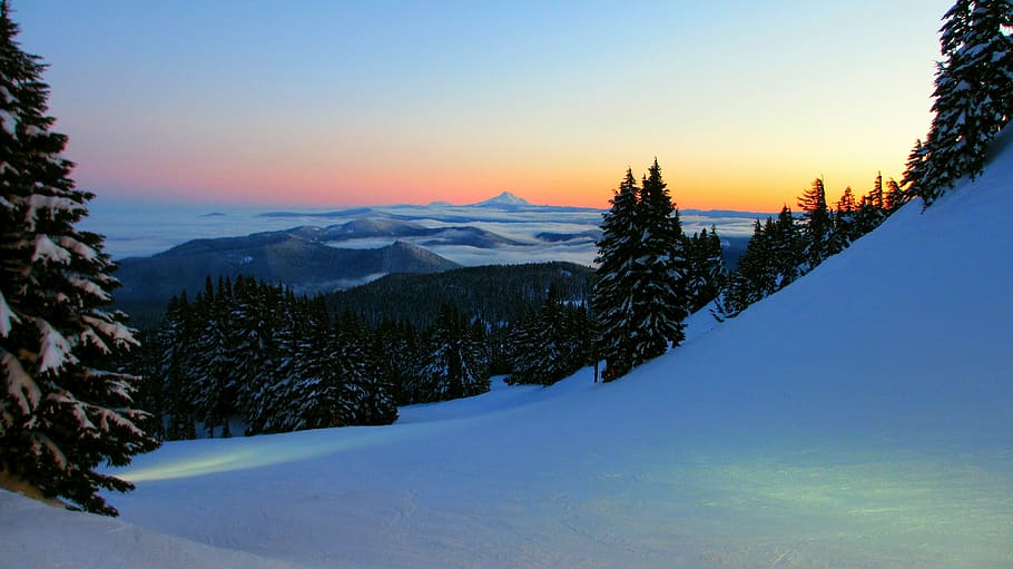 pine trees covered with snow, cold temperature, winter, sky, sunset HD wallpaper