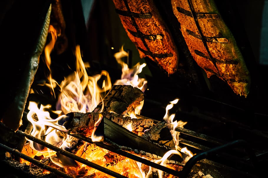 Focal Point Photo of Burning Wood in Black Steel Grate, bonfire HD wallpaper