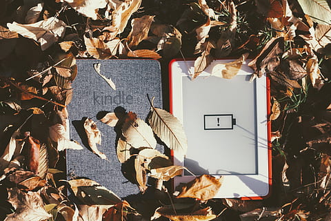 white Amazon Kindle Fire tablet on brown grass, leaf, plant, tree HD wallpaper