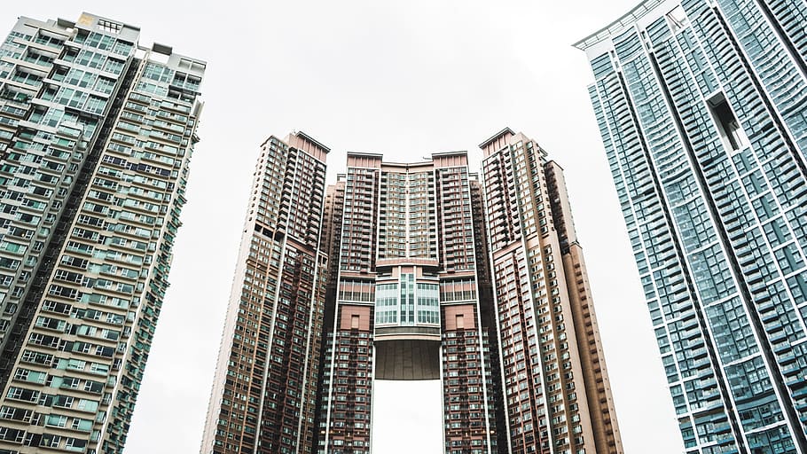 shallow focus photography of several curtain wall buildings under white sky HD wallpaper