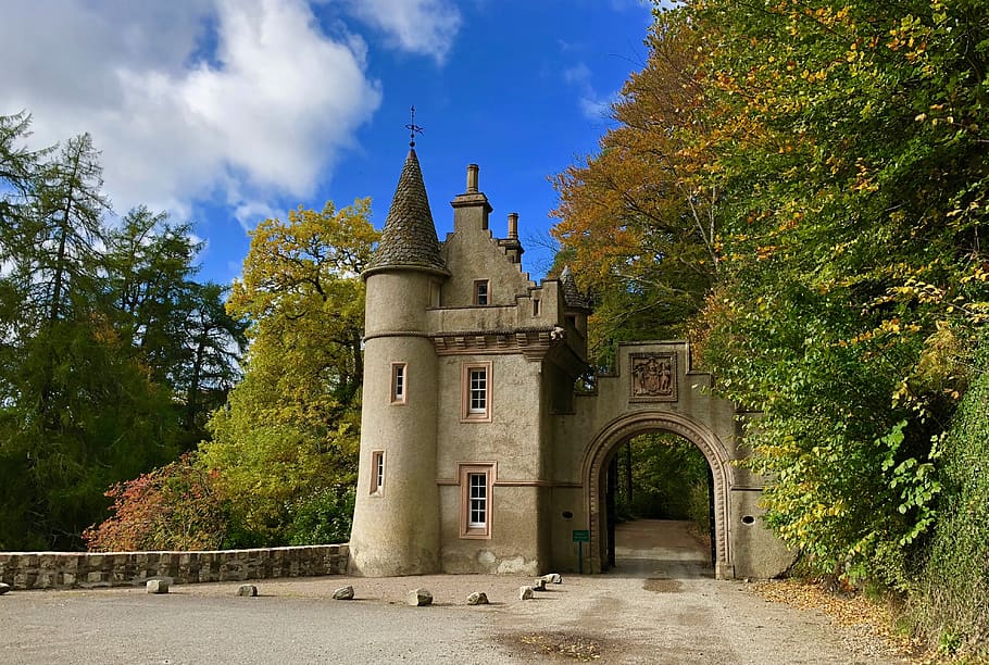 castle, architecture, goal, historically, romantic, sky, forest HD wallpaper