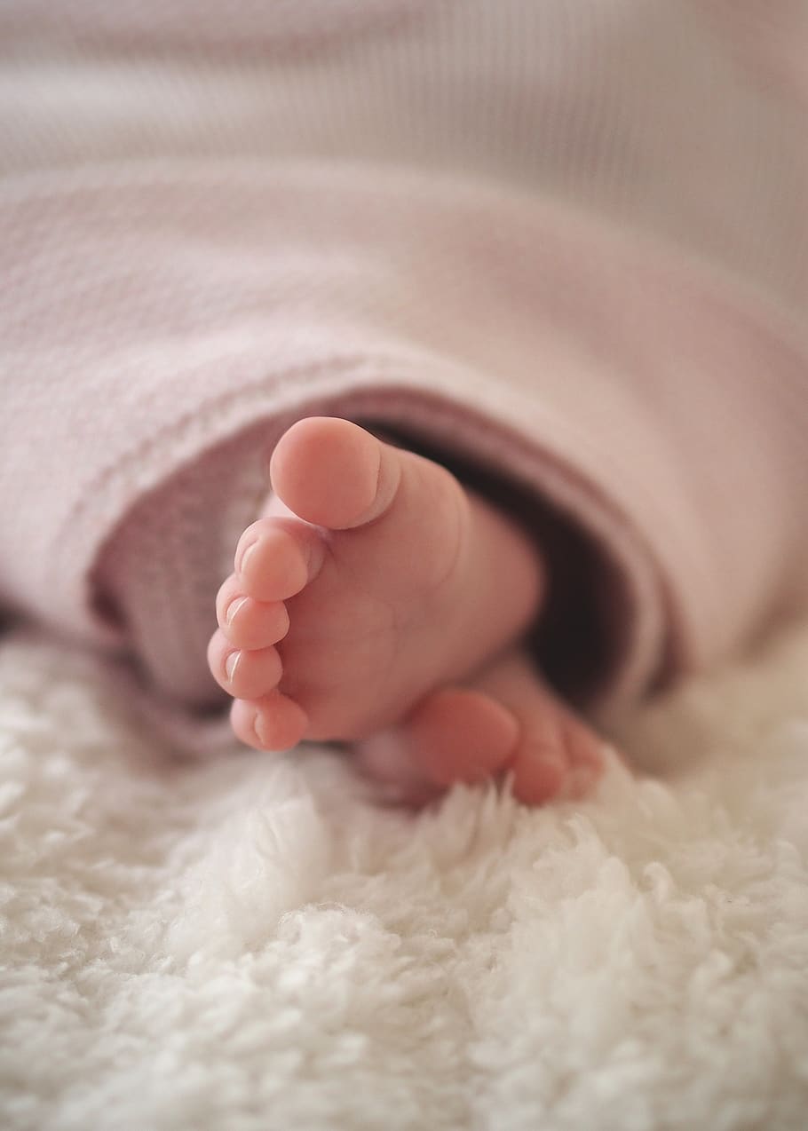Close-up of Baby Feet, blanket, child, cute, human, indoors, infant, HD wallpaper