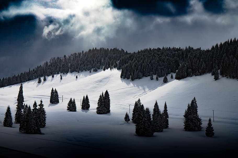 nature, awakening, ray, cloudy, darkness, cloud - sky, tree HD wallpaper
