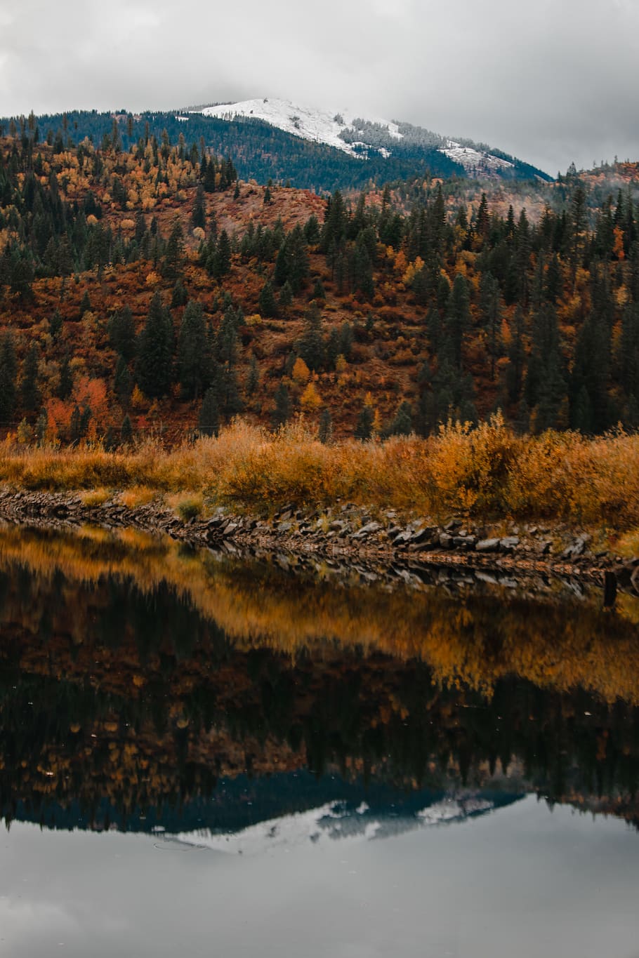 green trees, mountain, beauty in nature, water, tranquil scene HD wallpaper