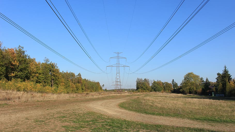 cable, electricity, tree, plant, land, technology, power line HD wallpaper