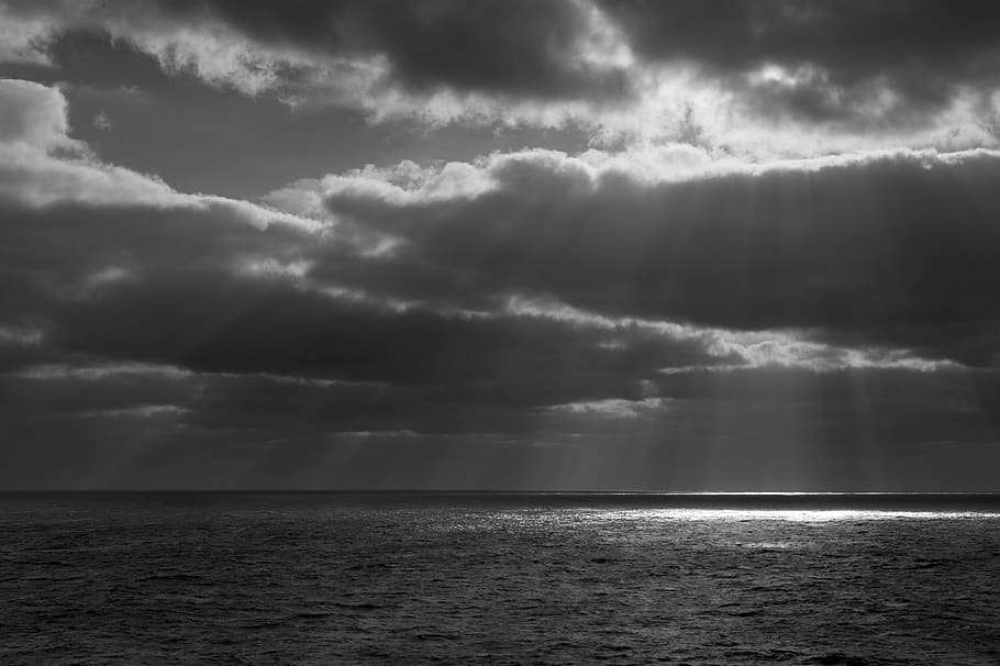 shadow, sunlight, filtered, highlight, white, black, black and white HD wallpaper