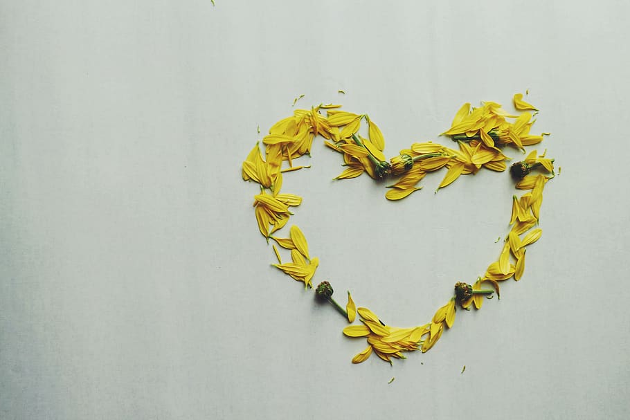 Heart Shape Yellow Flower Petals, bright, close-up, colors, design HD wallpaper