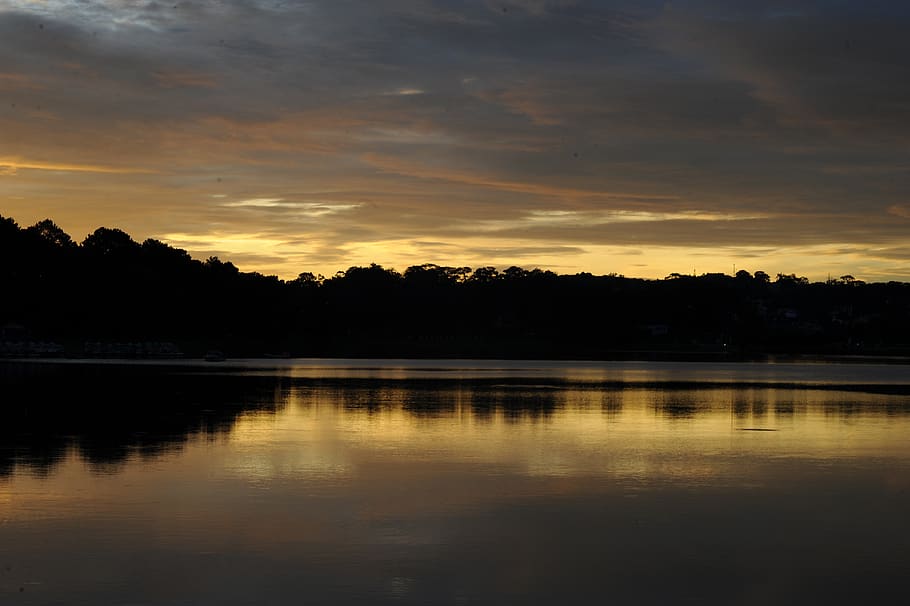 Silhouette Photo of Trees Near River, backlit, calm, dawn, environment HD wallpaper