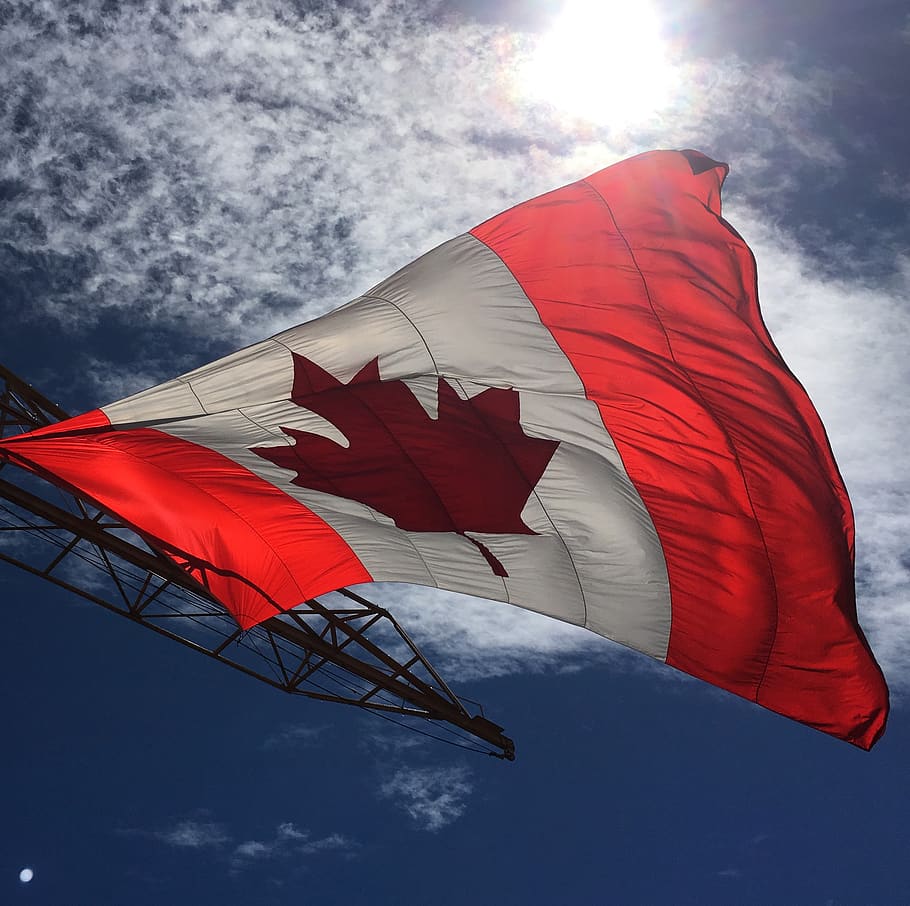 HD wallpaper: canada flag, maple leaf, canadian, canadian flag, true north  | Wallpaper Flare