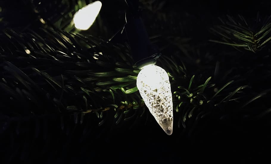 holiday, tree, christma, light, no people, plant, close-up HD wallpaper