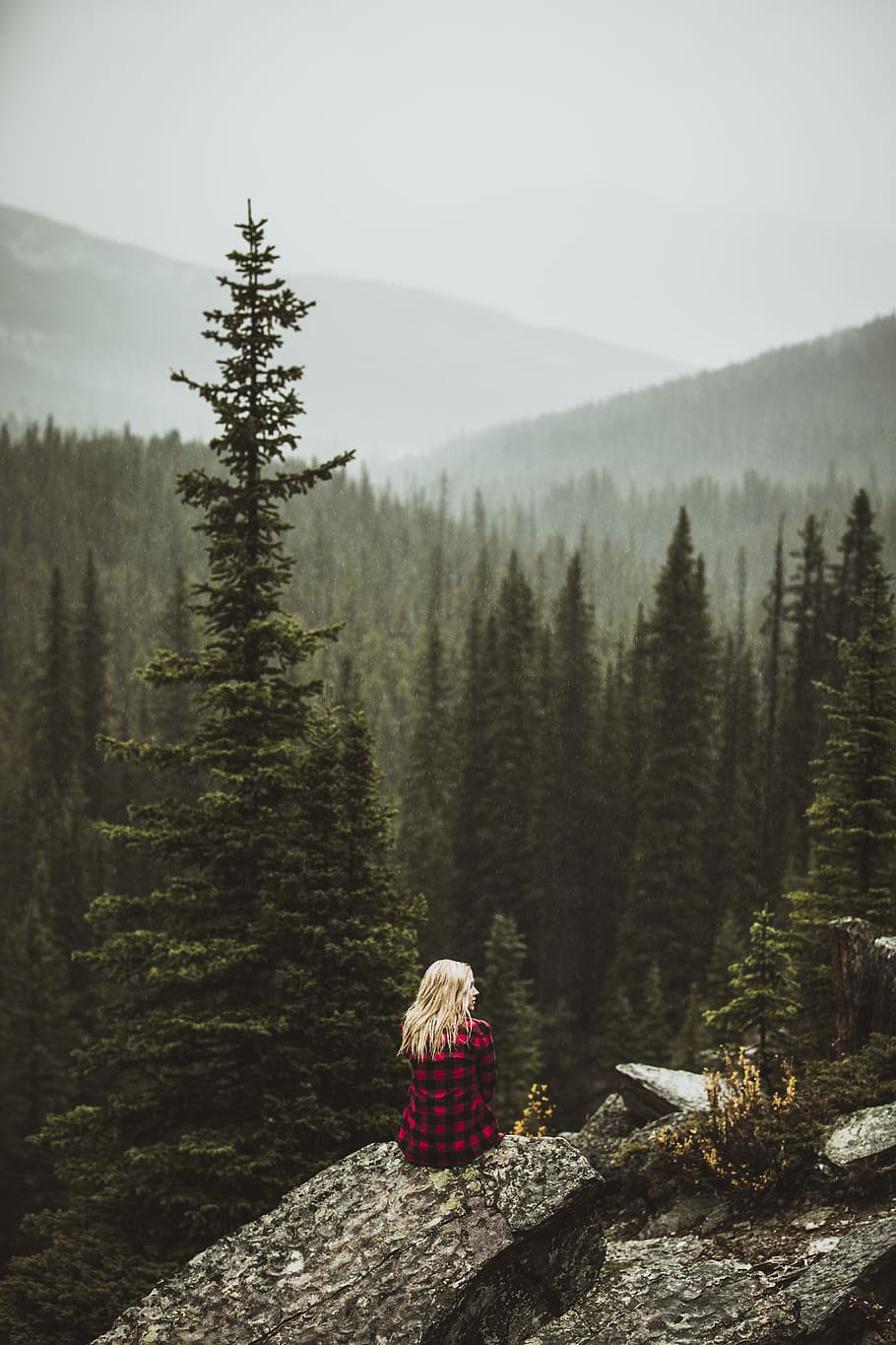 girl, blonde, plaid, flannel, mountains, forest, trees, alberta, HD wallpaper