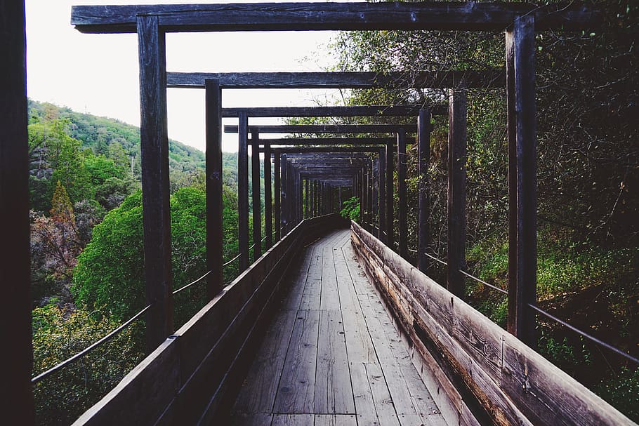 symmetrical, bridge, tree, the way forward, direction, connection HD wallpaper