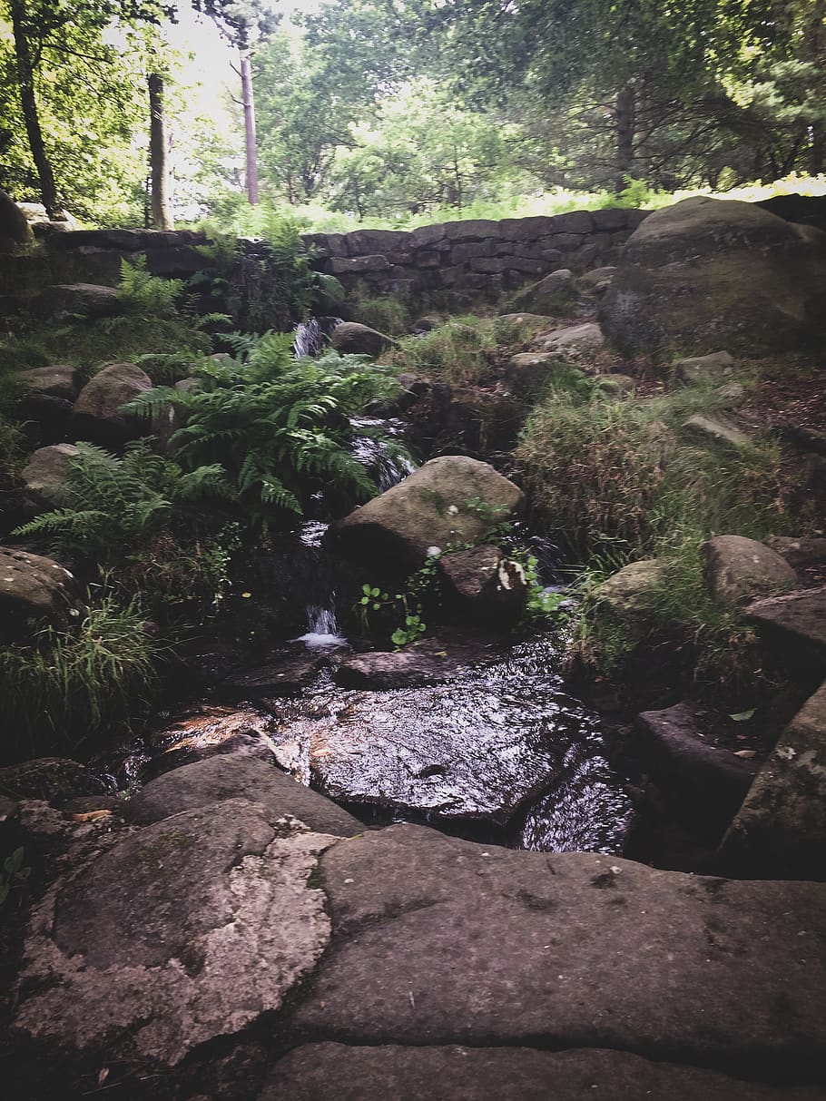 Brown Stones And Green Plants, england, environment, nature, rocks HD wallpaper
